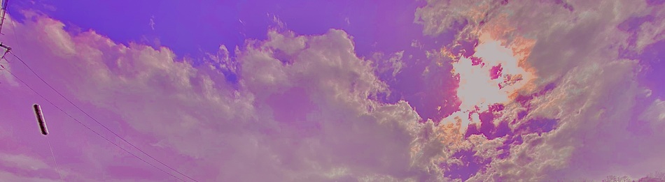 Shikuwata