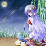 十五夜をイメージしたイラストです。