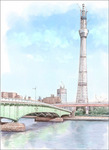 建設途中のスカイツリー・水彩風の風景画（鉛筆画をPCにてデジタル着色）