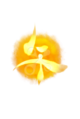 午(加工)