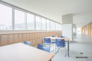 Medium_20190307-img_0157-hdr